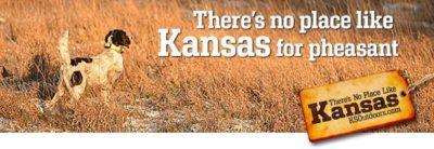 Kansas Pheasant | SportingDog Adventures