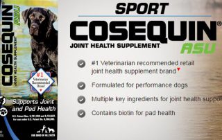 Cosequin Sport ASU | SportingDog Adventures